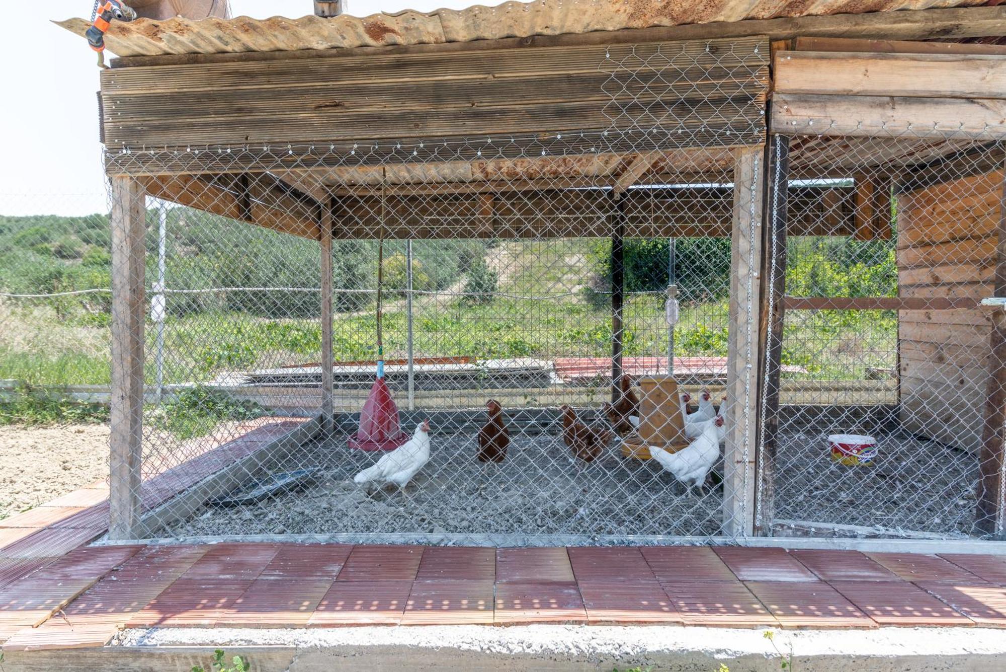 Countryhouse Villa With Pool & Private Parking Heraklion  Ngoại thất bức ảnh